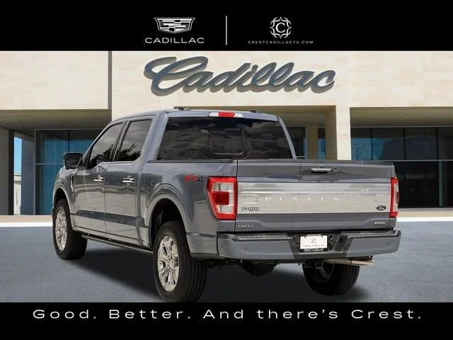 Used 2023 Gray Ford Platinum image 7