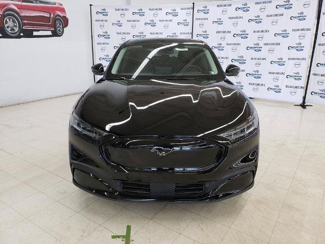 New 2026 Shadow Black Ford Premium image 2