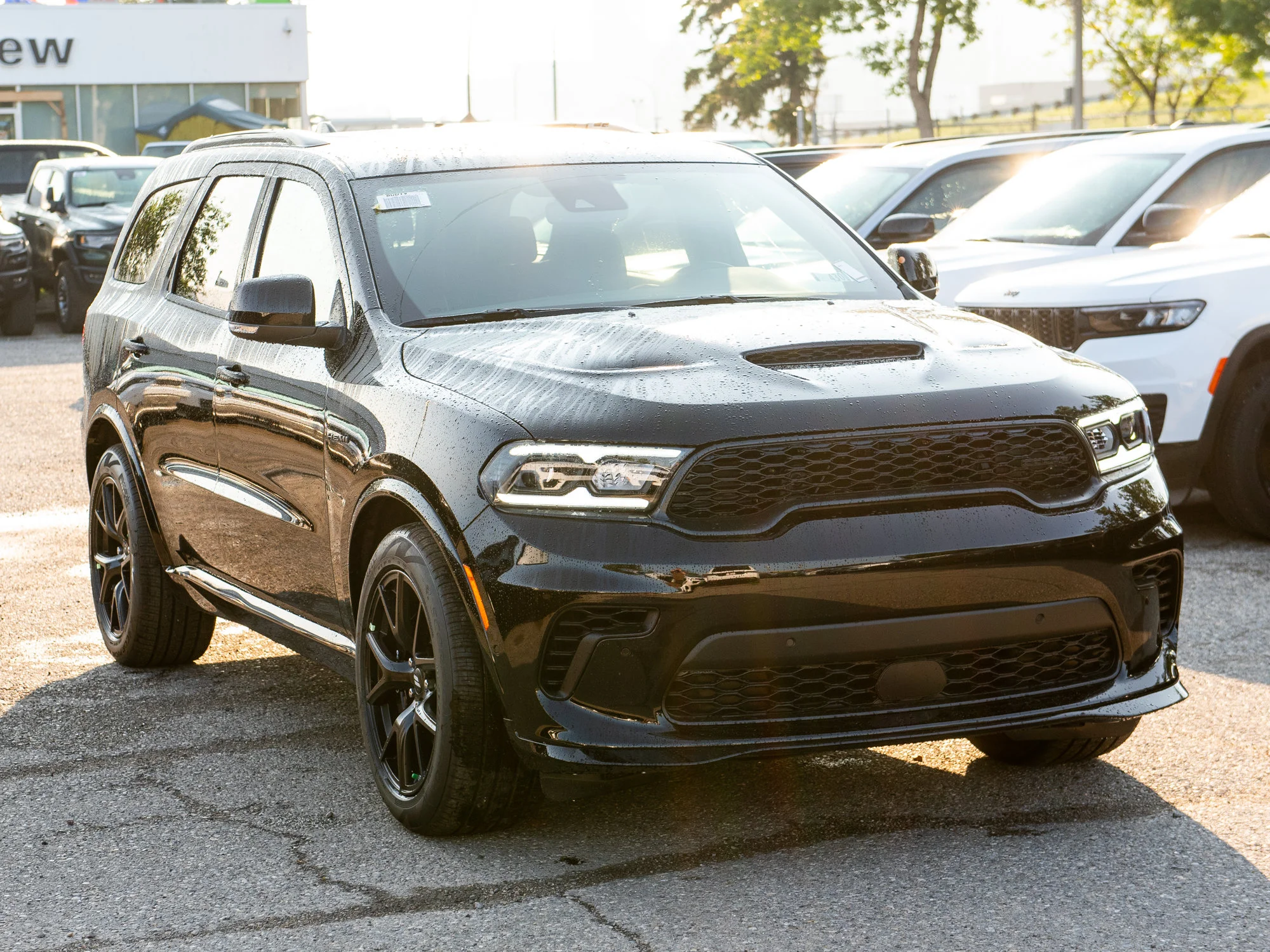 New 2026 Black Dodge GT Plus* HEMI V8 AWD* image 7