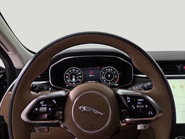 Used 2023 Blue Jaguar S image 10