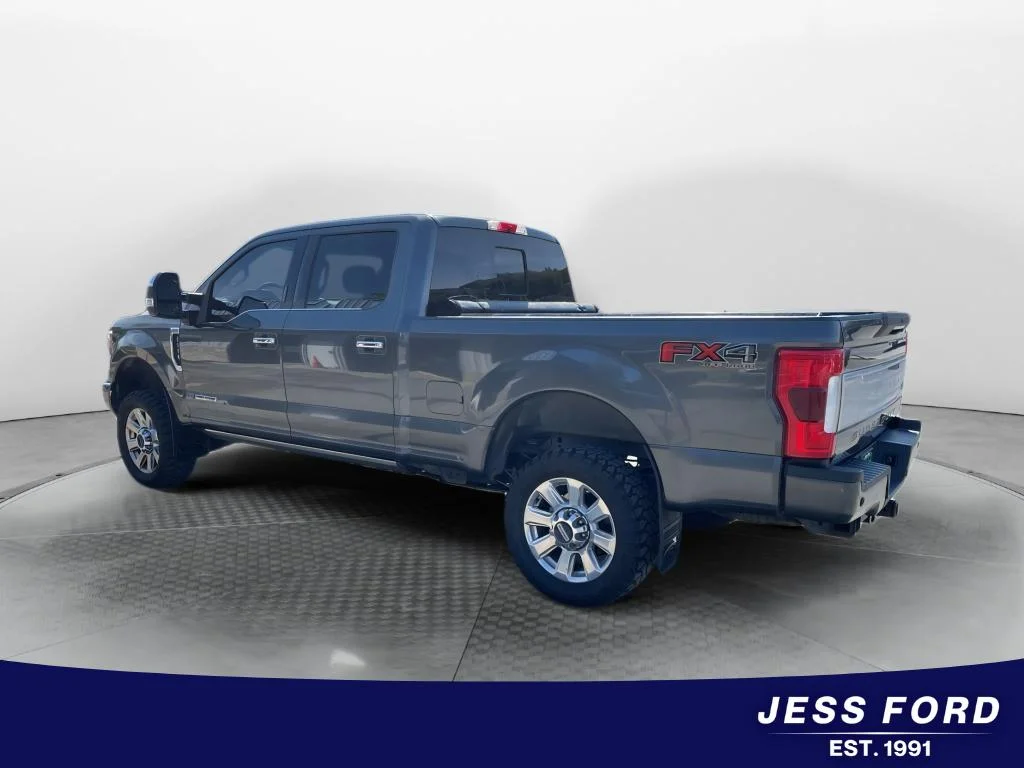 Used 2018 Magnetic Ford Platinum image 3