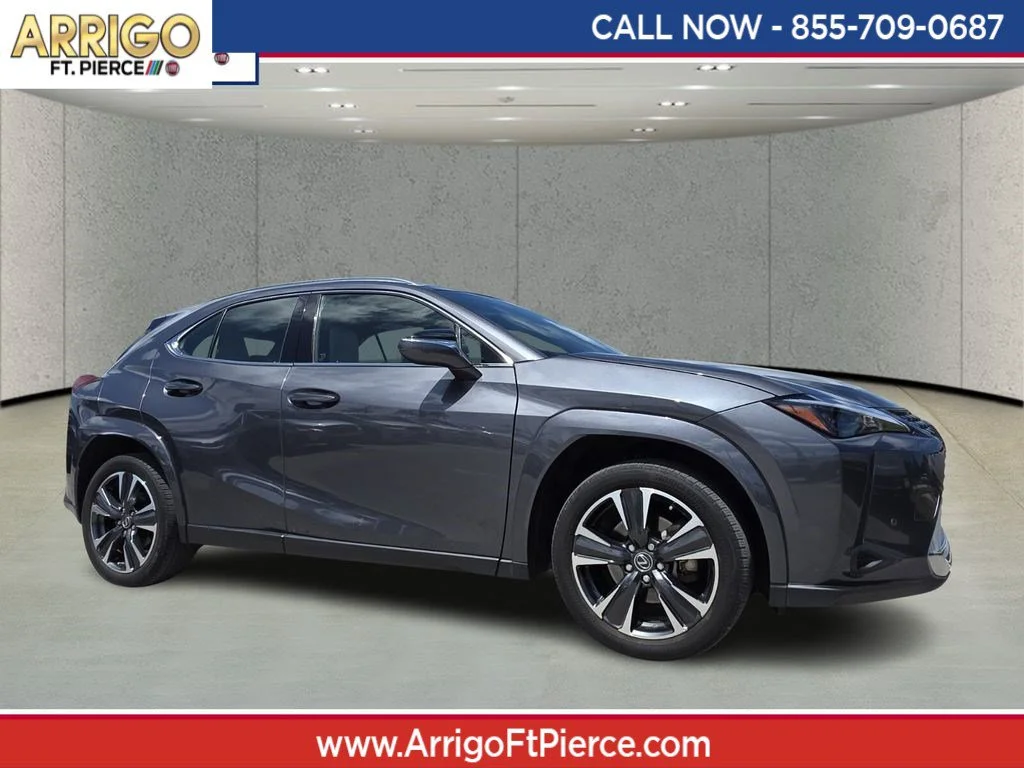 2023 Lexus UX 300h 250h Premium's photo