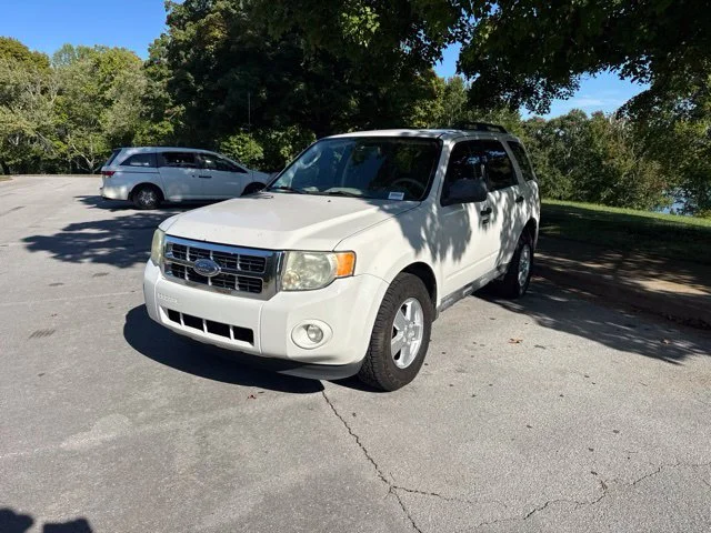 Used 2010 Beige Ford XLT image 3