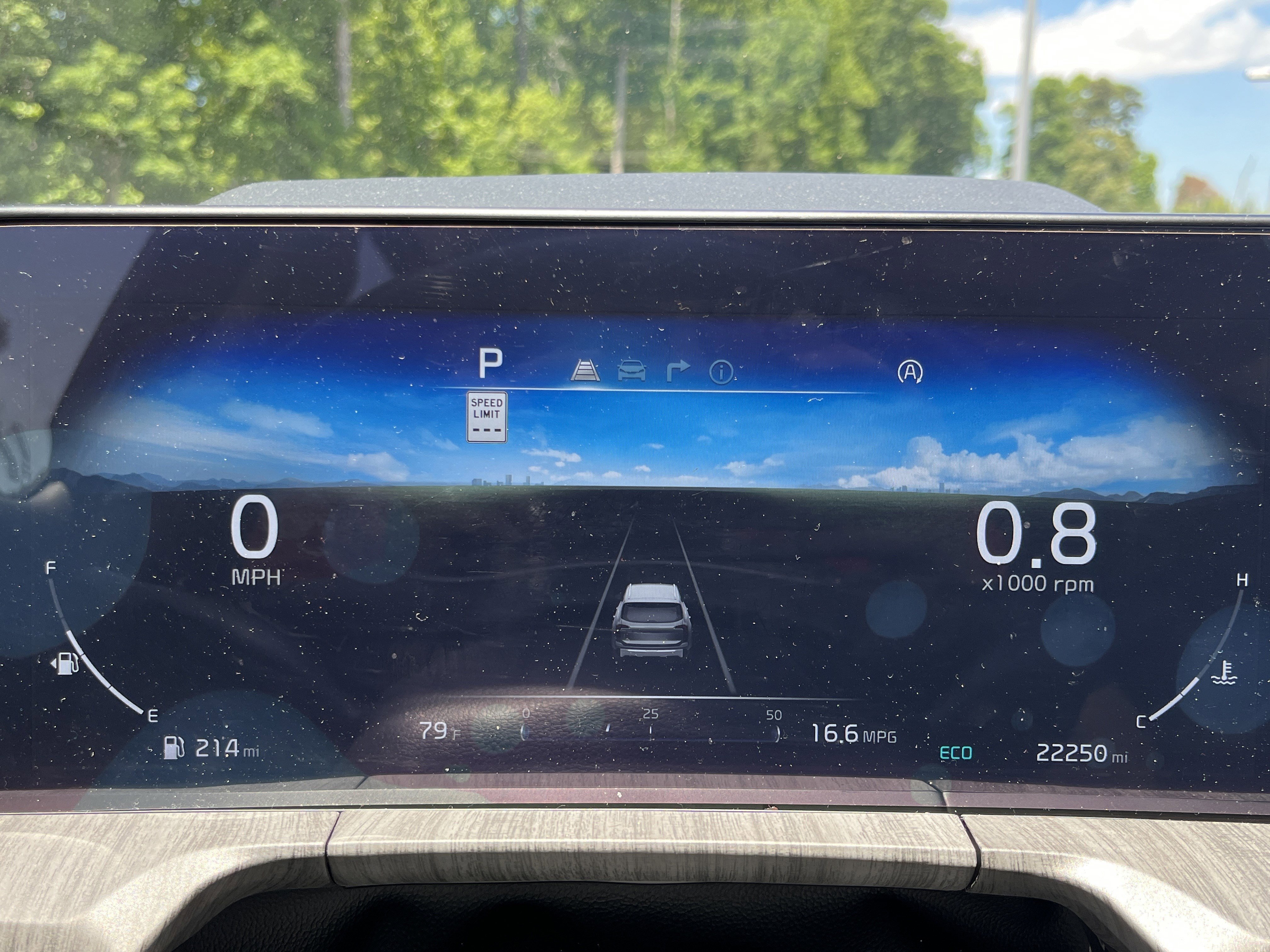 Used 2025 Panthera Metal Kia SX-Prestige image 13