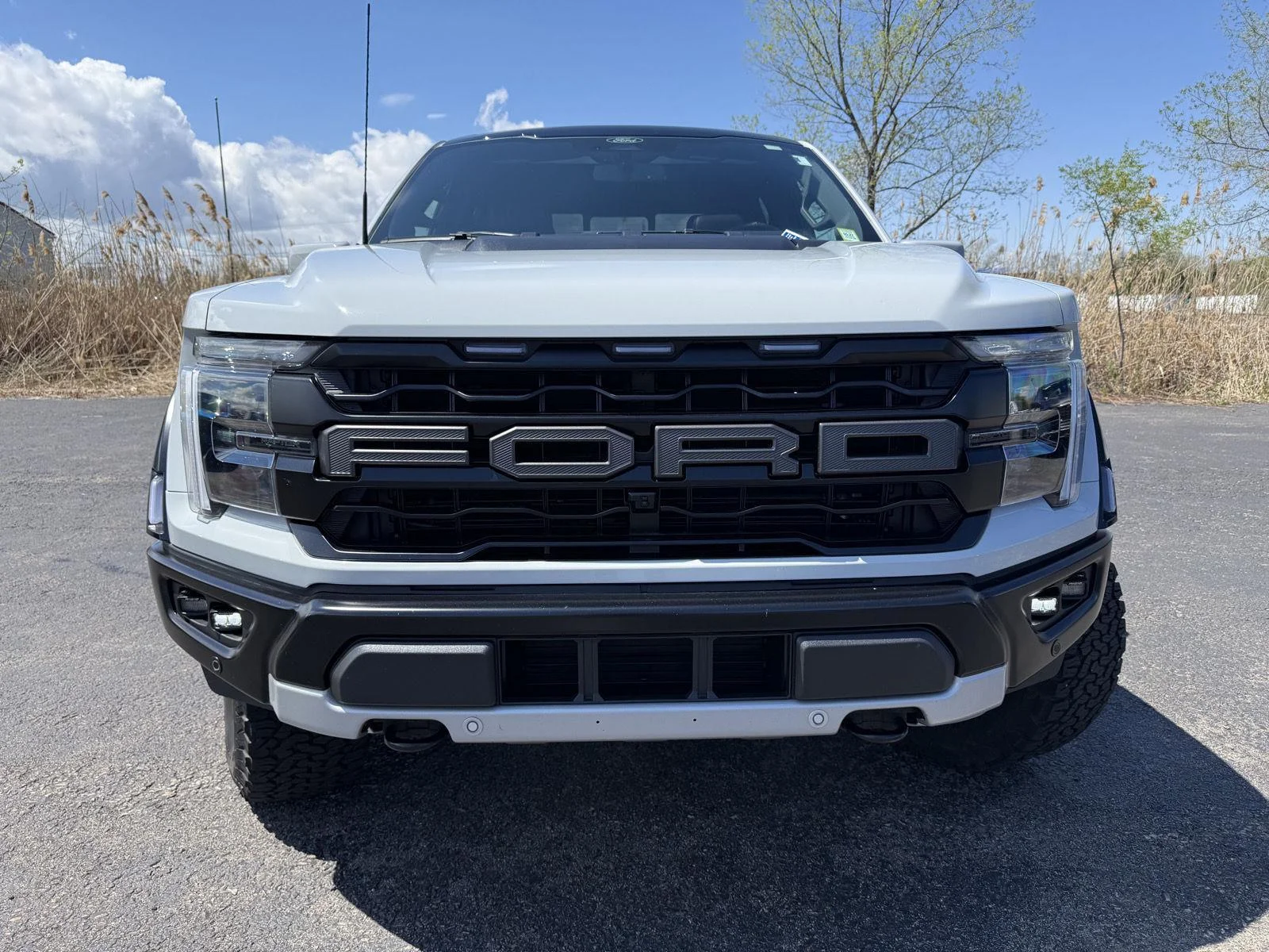 Used 2024 Avalanche Gray Ford Raptor image 19