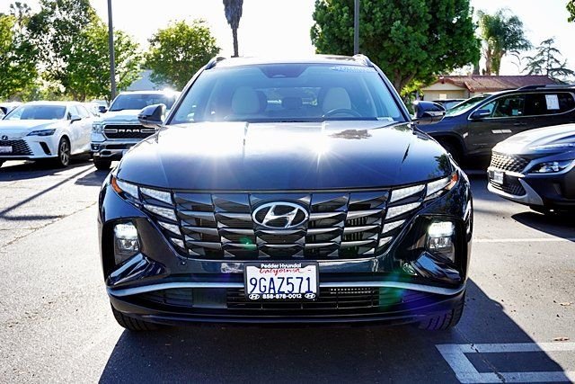 Used 2023 Blue Hyundai SEL Convenience image 4