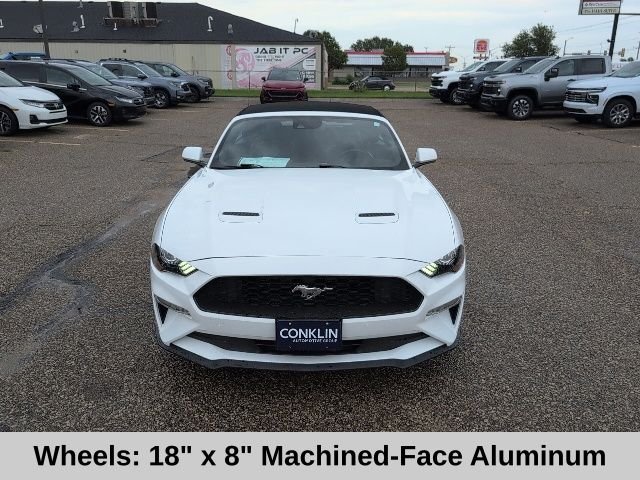 Used 2023 White Ford EcoBoost Premium image 15