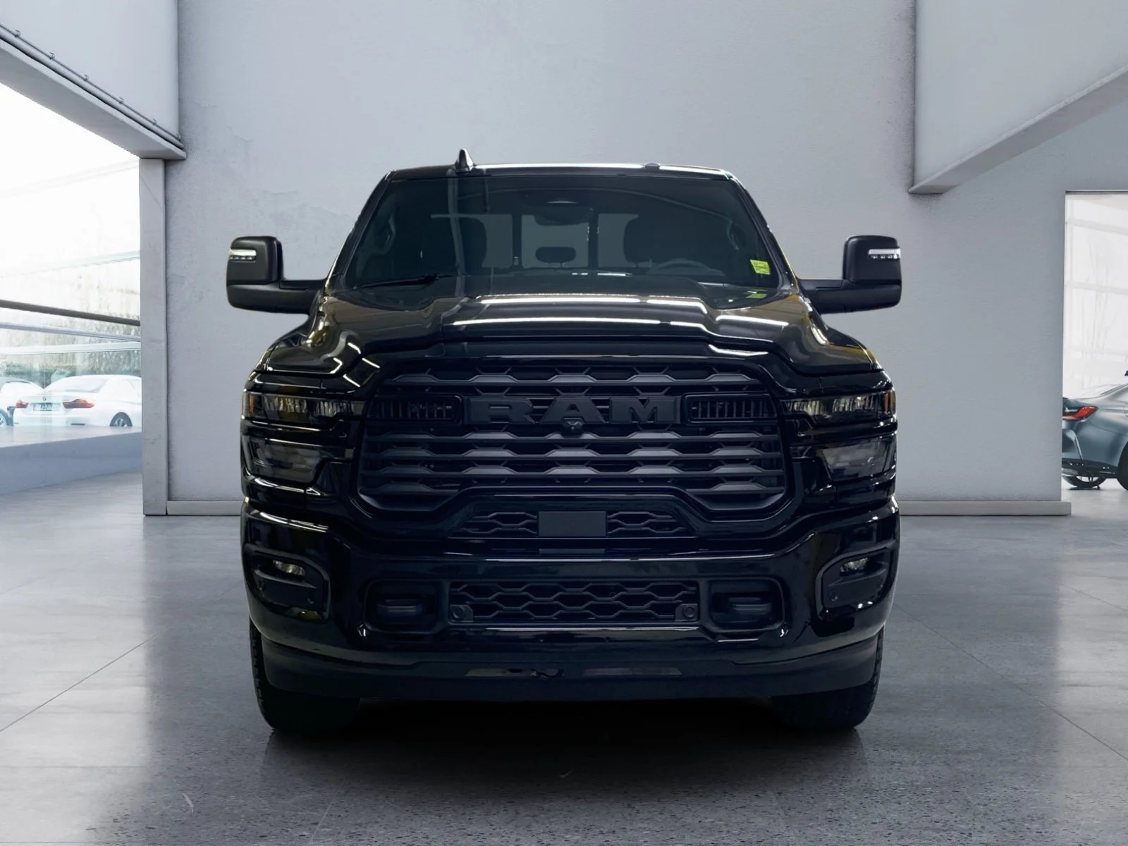 New 2026 Diamond Black Crystal Pearl Ram Big Horn image 8