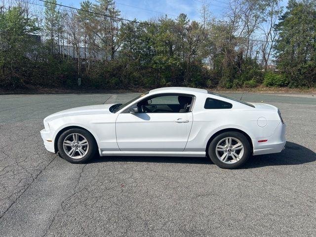 Used 2014 Ford Mustang V6 with VIN 1ZVBP8AM9E5331302 for sale in South Chesterfield, VA
