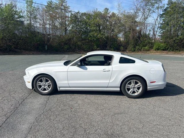 Used 2014 Ford Mustang V6 with VIN 1ZVBP8AM9E5331302 for sale in South Chesterfield, VA