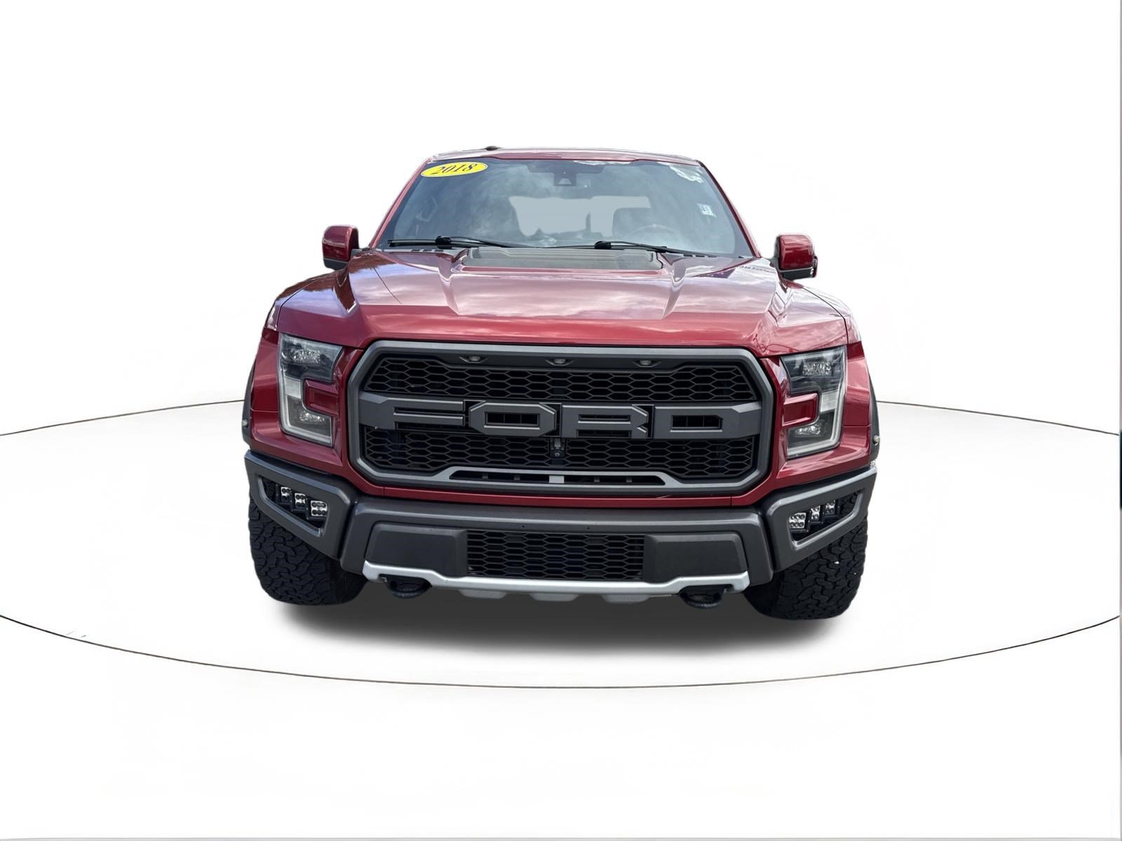 2018 Ford F-150 Raptor - Photo 8