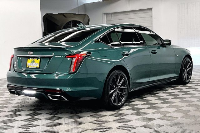 Used 2025 Typhoon Metallic Cadillac Sport image 13