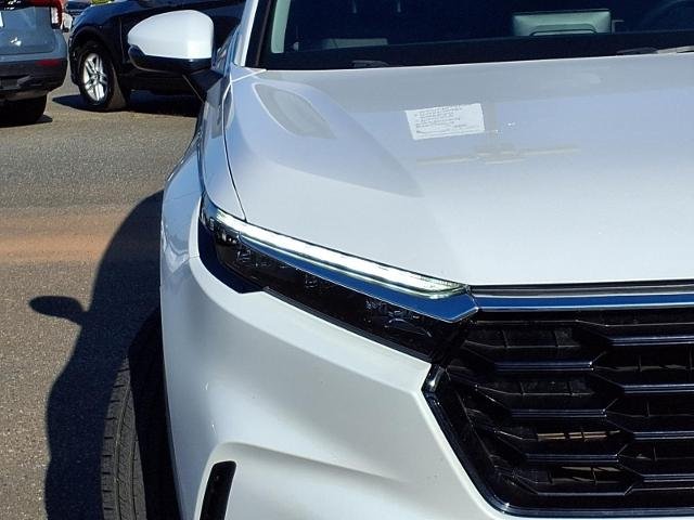 Used 2025  Honda  image 16