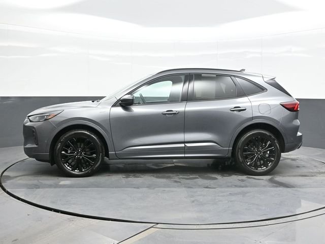 Used 2024 Gray Ford ST-Line Elite image 4