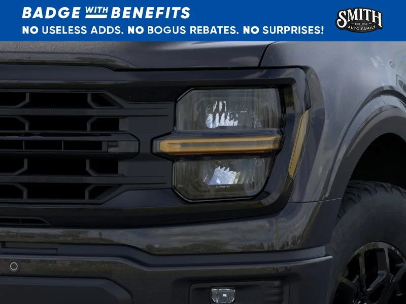 New 2025 Agate Black Metallic Ford XLT image 19