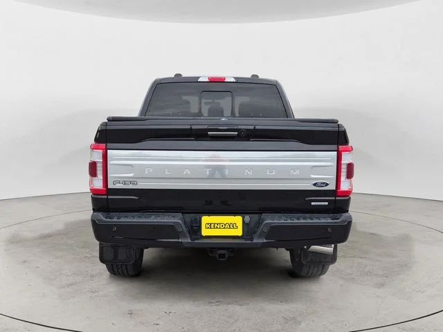 2023 Ford F-150 Platinum - Photo 6