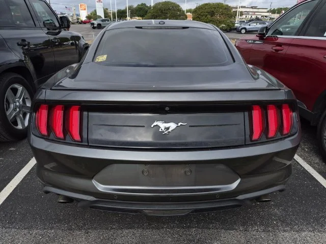 Used 2019 Magnetic Ford EcoBoost Premium image 3