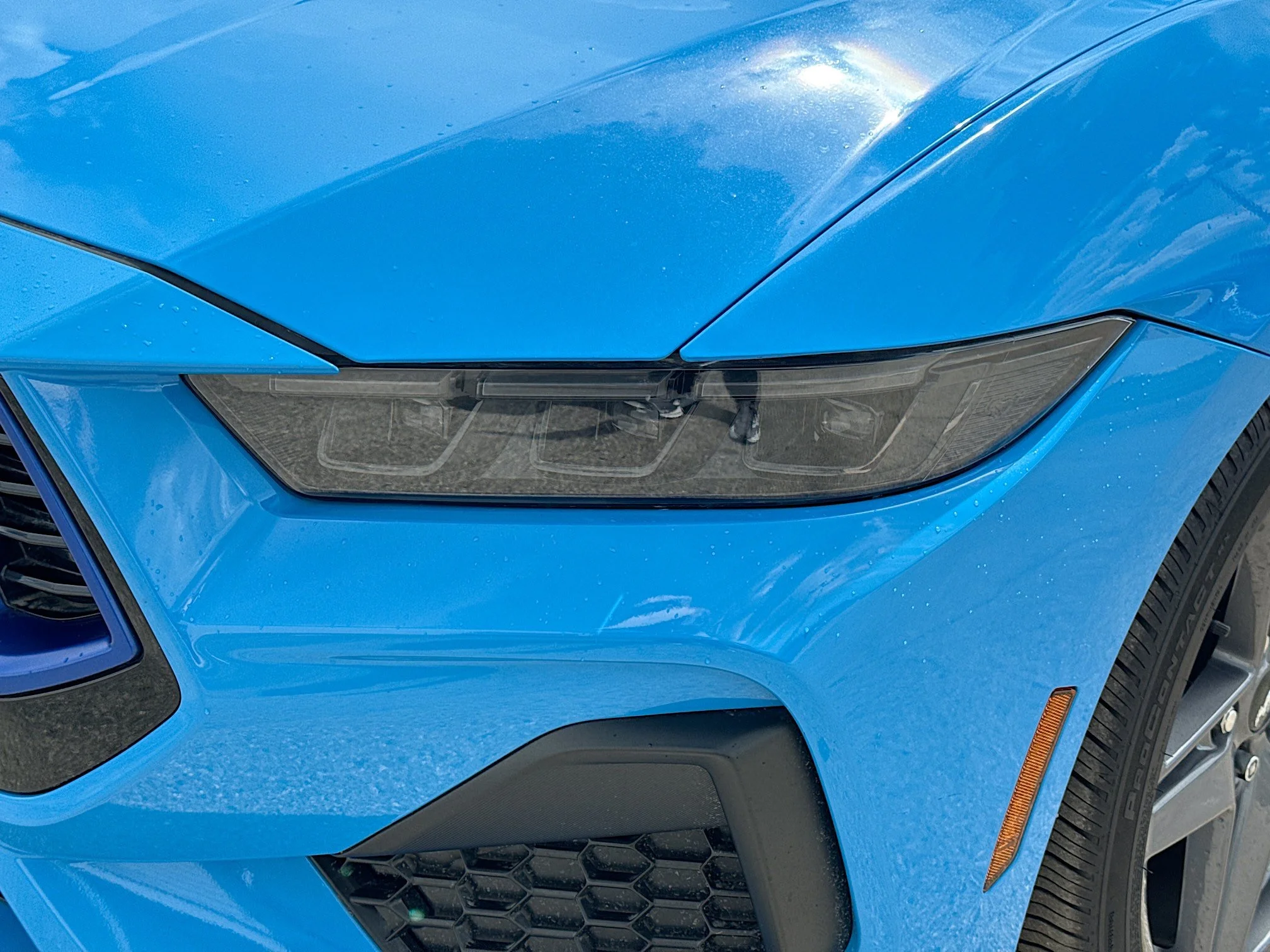Used 2024 Grabber Blue Metallic Ford GT Premium image 9