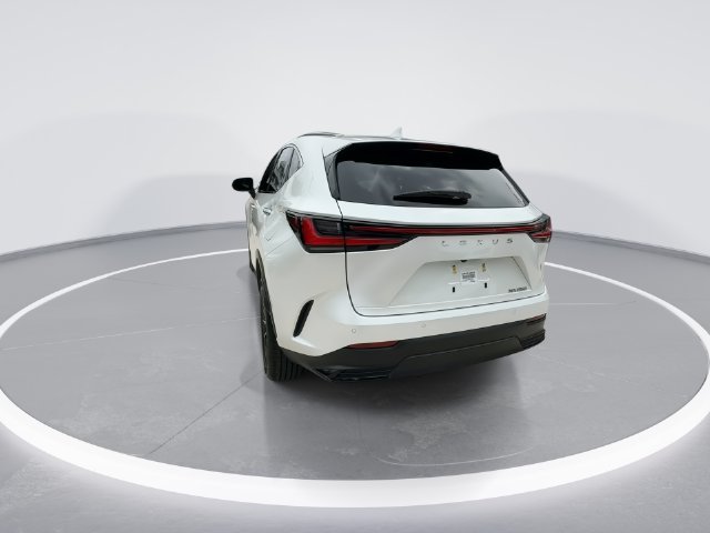 2025 Lexus NX 250 - Photo 6