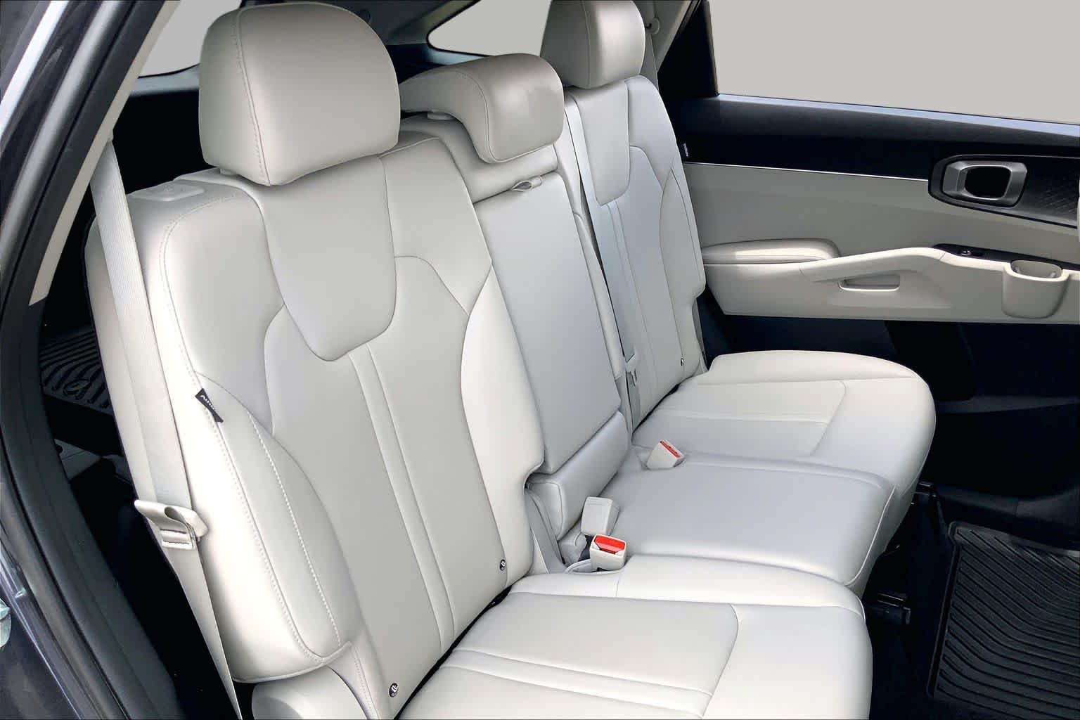 Used 2025 Panthera Metal Kia S image 20