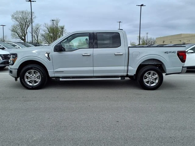 Used 2024 White Ford XLT image 3