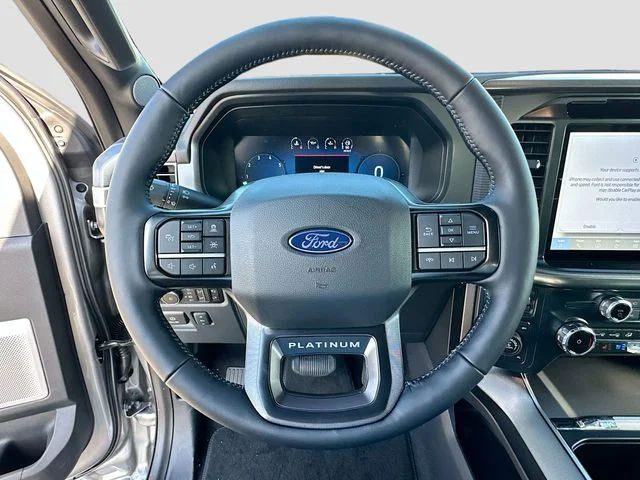 New 2025 Silver Metallic Ford Platinum image 7