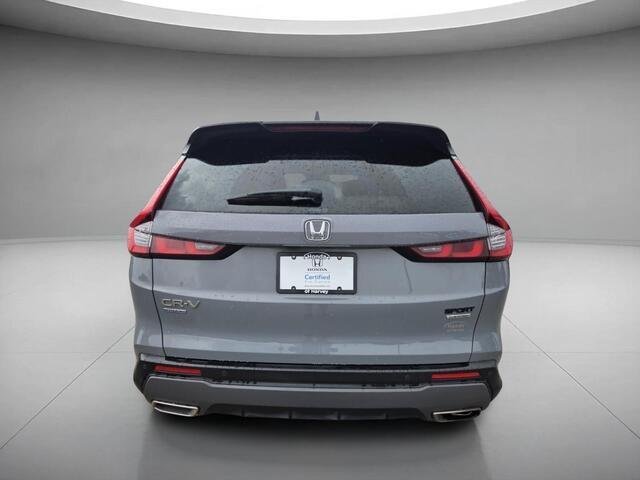 Used 2025 Urban Gray Pearl Honda  image 4
