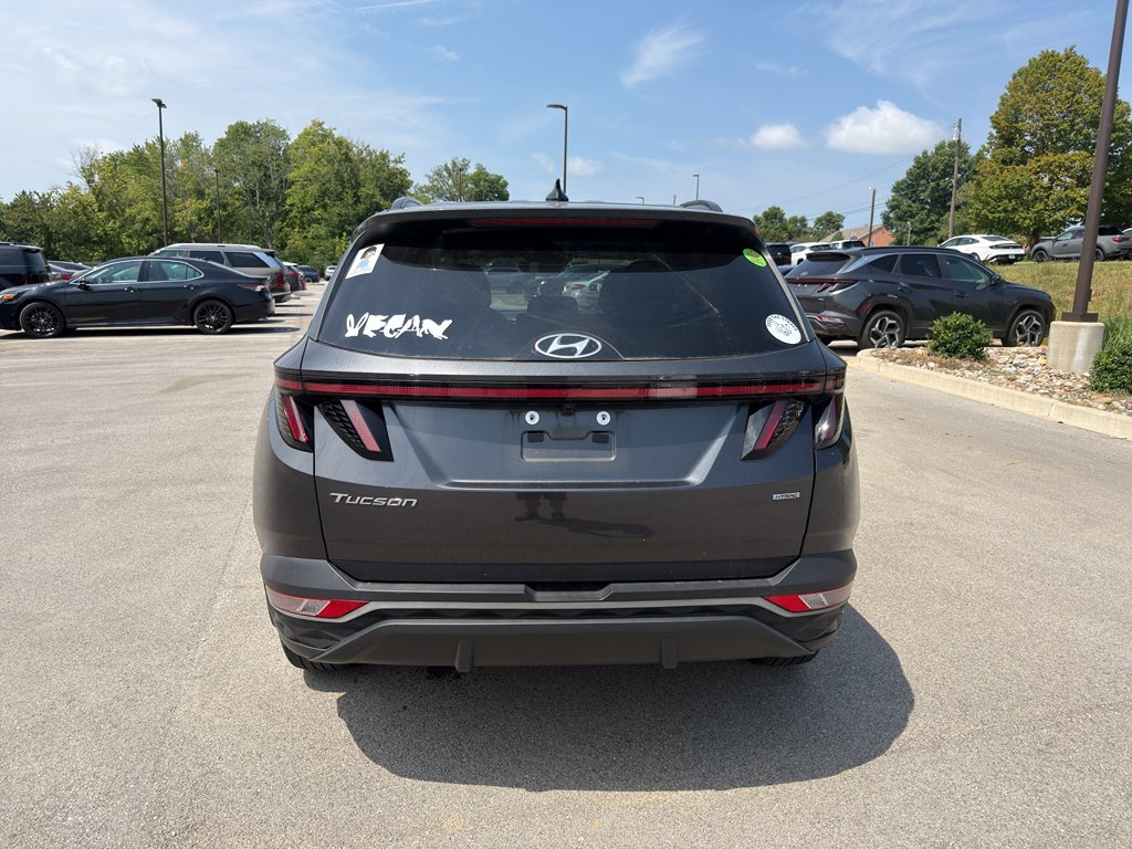 Used 2023 Portofino Gray Hyundai SEL image 4