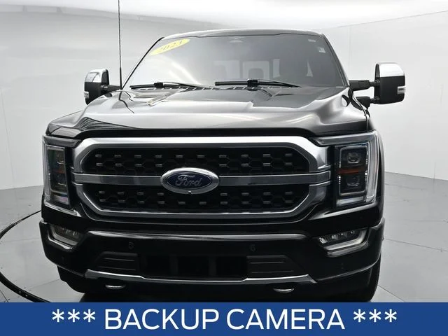 Used 2023 Black Ford Platinum image 2