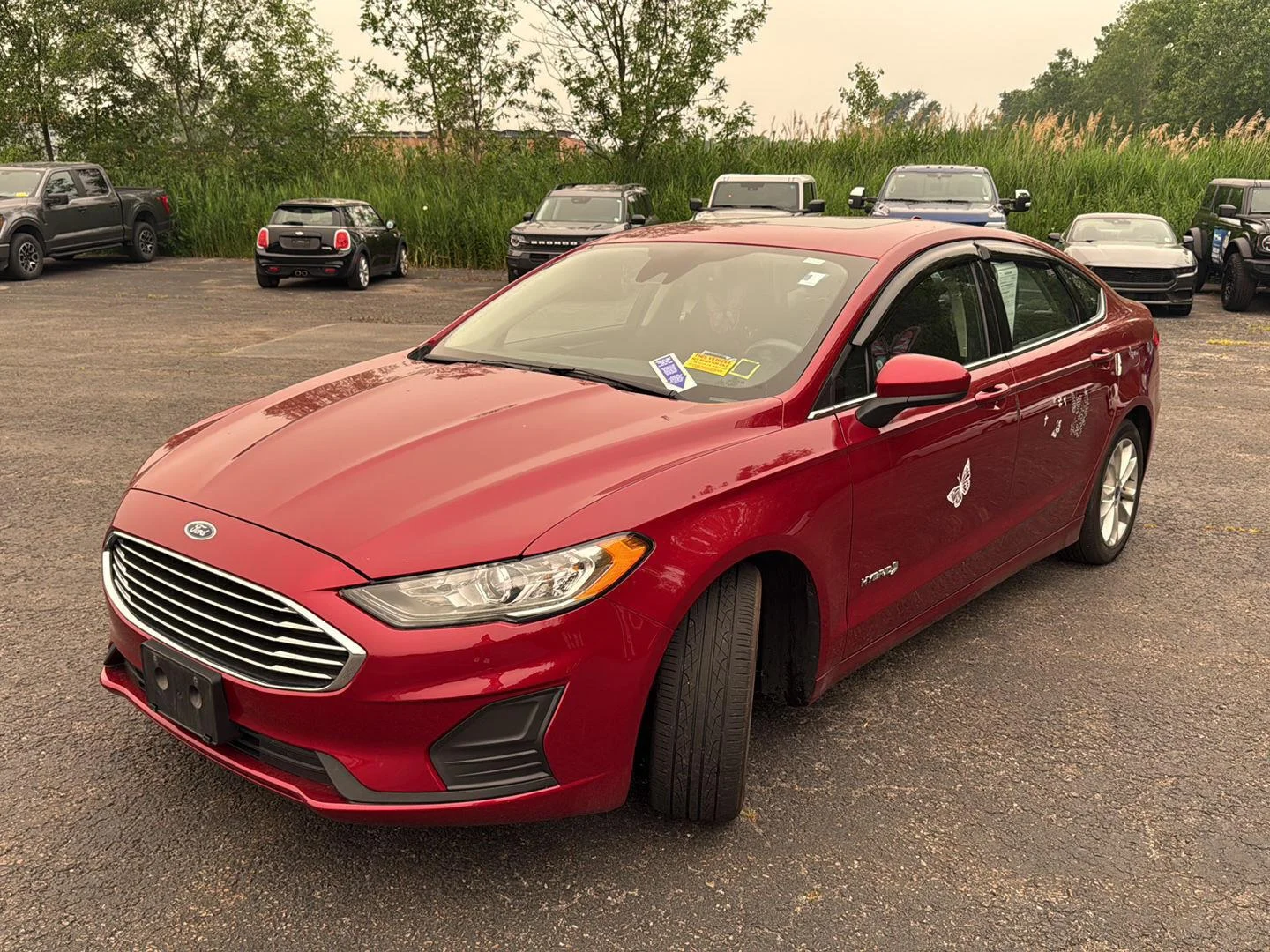 Used 2019 Ruby Red Metallic Tinted Clearcoat Ford SE image 7