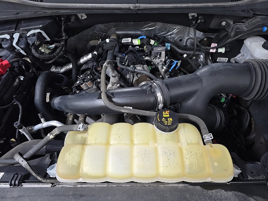 Used 2019 Gray Metallic Ford XL image 13