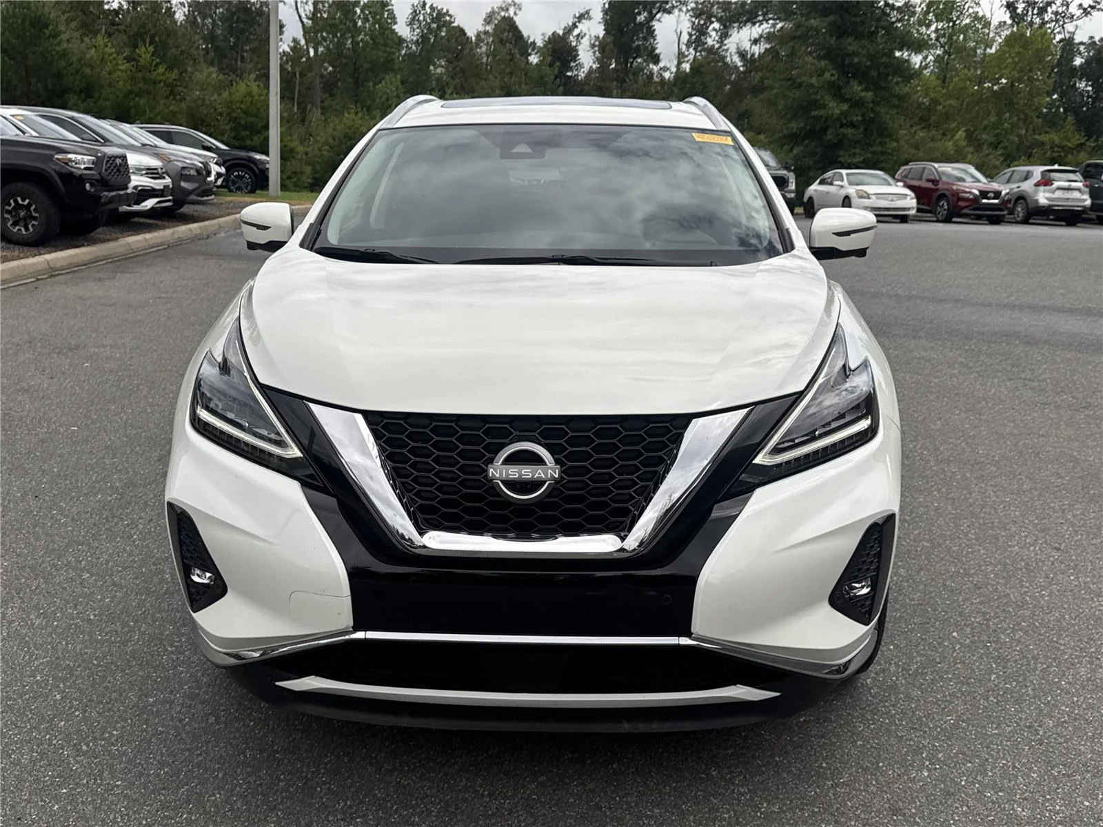 Used 2024 Pearl White Tricoat Nissan Platinum image 9