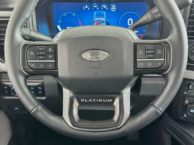 New 2026 Gray Ford Platinum image 14