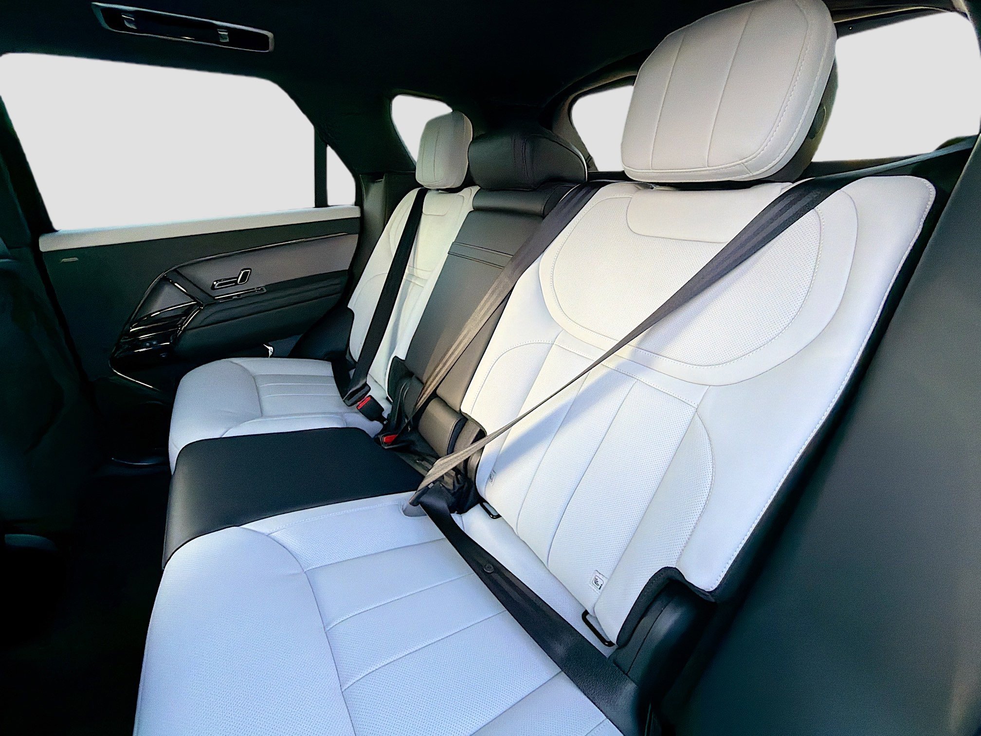 New 2026 Giola Green Land Rover Dynamic SE image 21