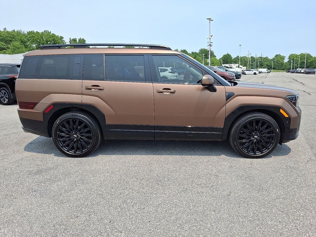 Used 2024 Earthy Brass Matte Hyundai Calligraphy image 8