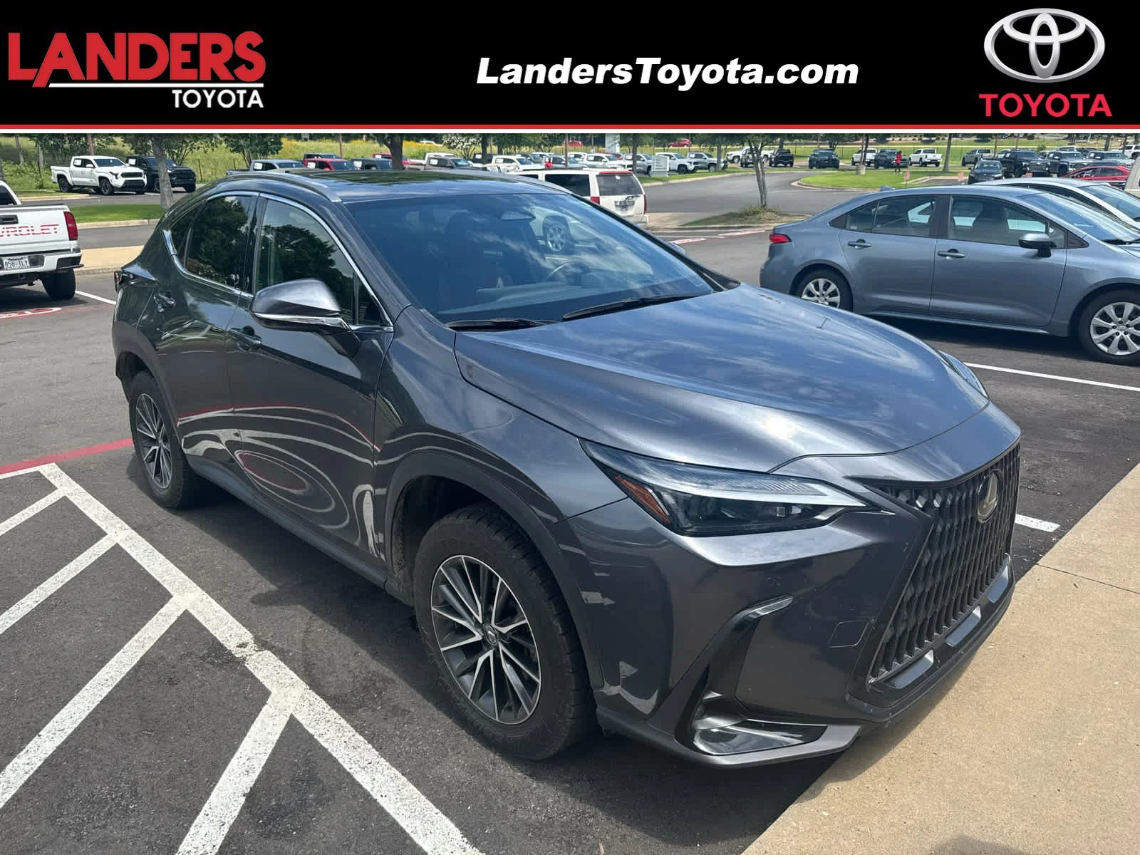 2024 Lexus NX 350h 350h Premium AWD's photo
