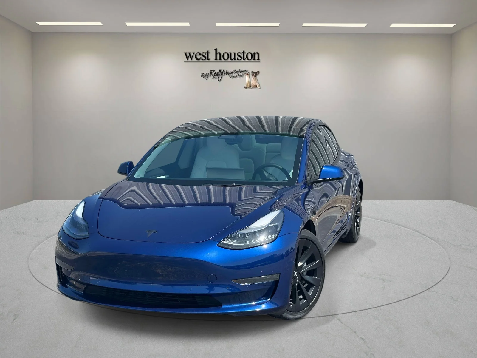 Used 2022 Blue Tesla RWD image 1