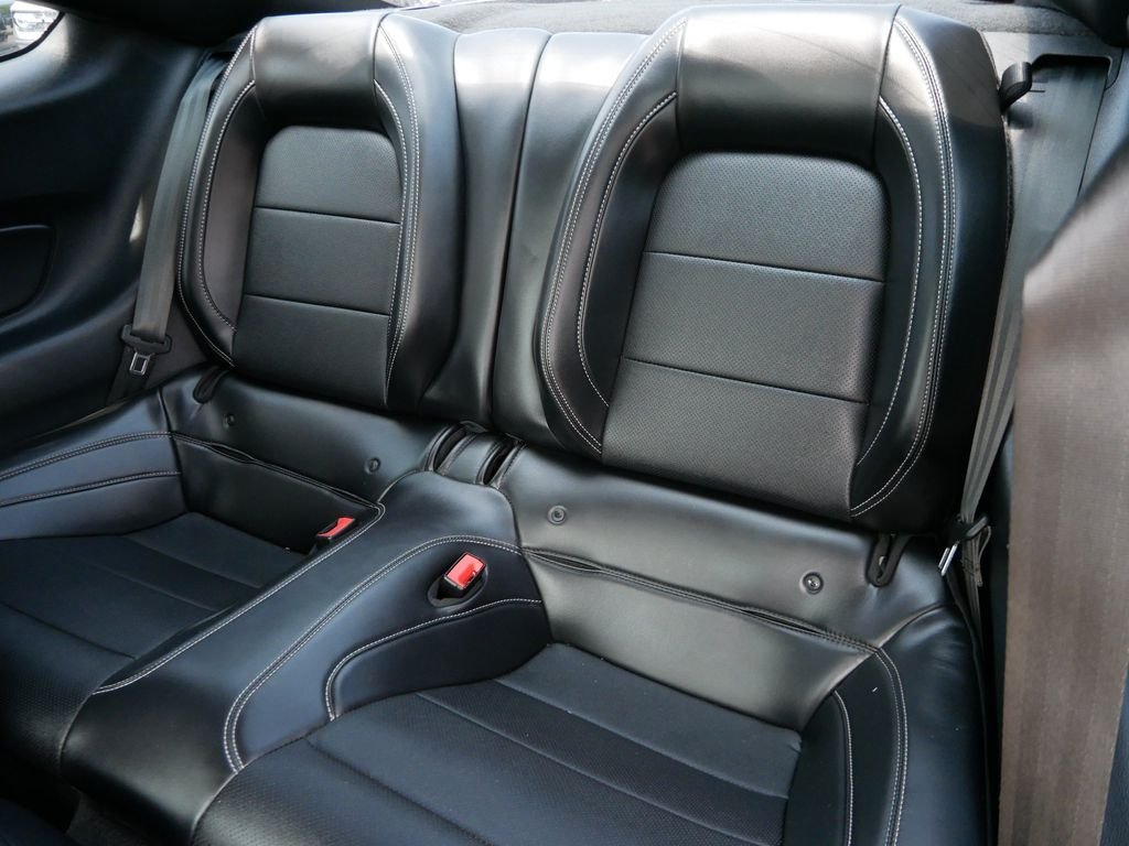 Used 2019 Black Ford GT Premium image 14