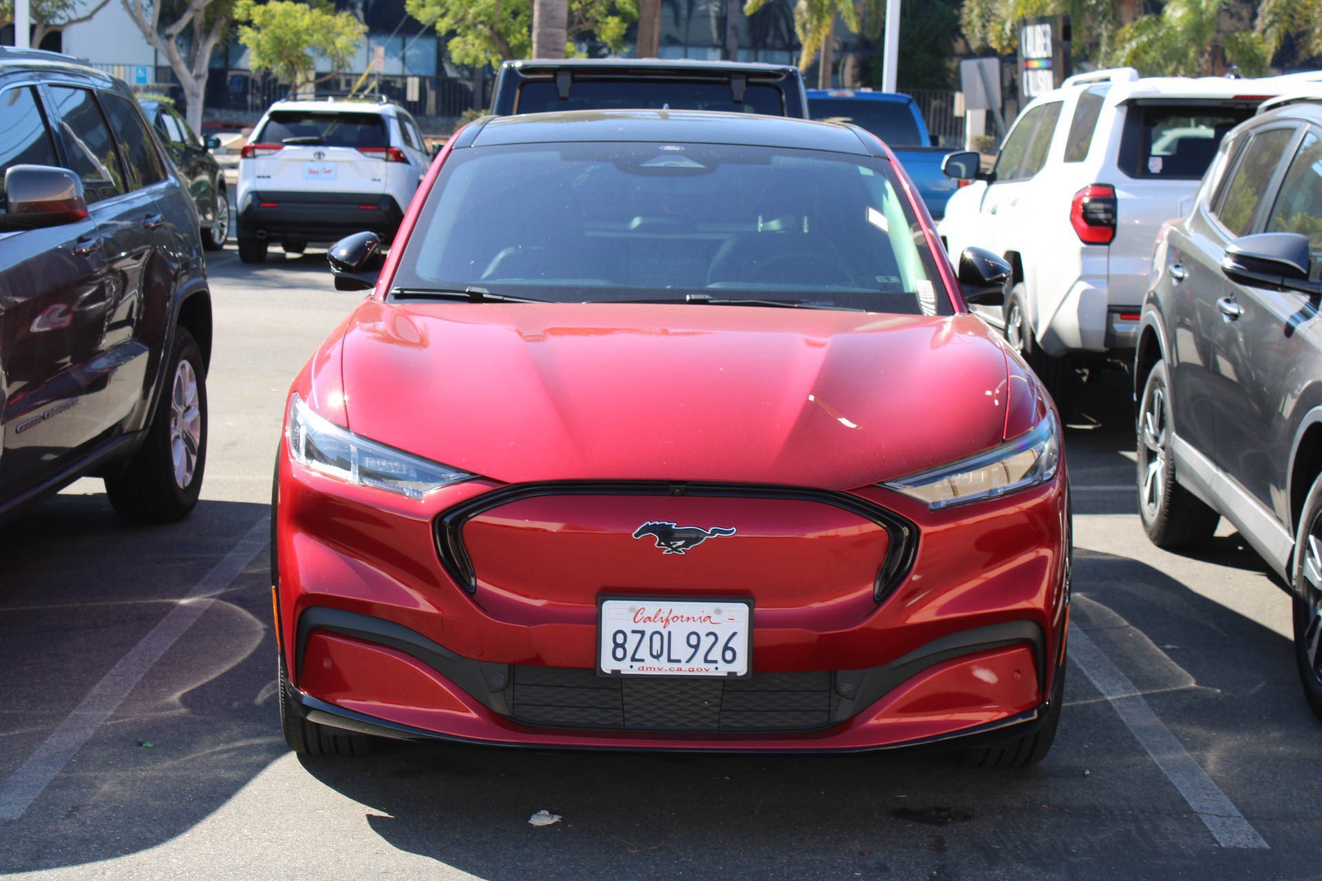 Used 2021 Ford Mustang Mach-E Premium RWD with VIN 3FMTK3R78MMA62902 for sale in Long Beach, CA