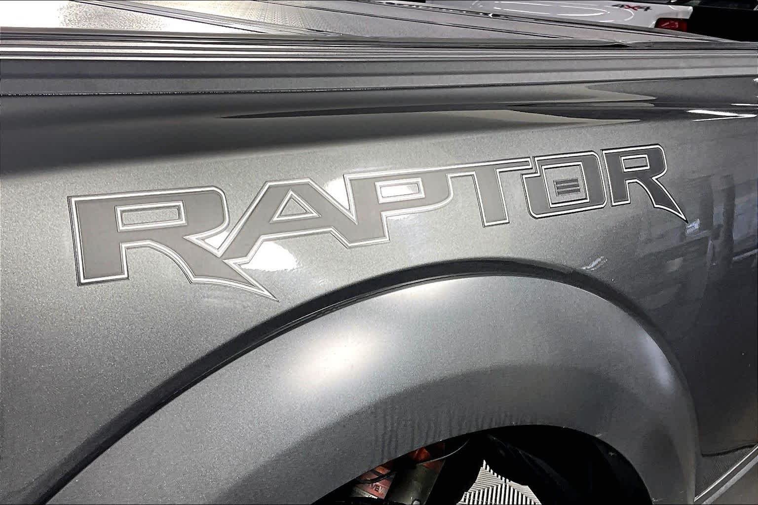 2019 Ford F-150 Raptor - Photo 10