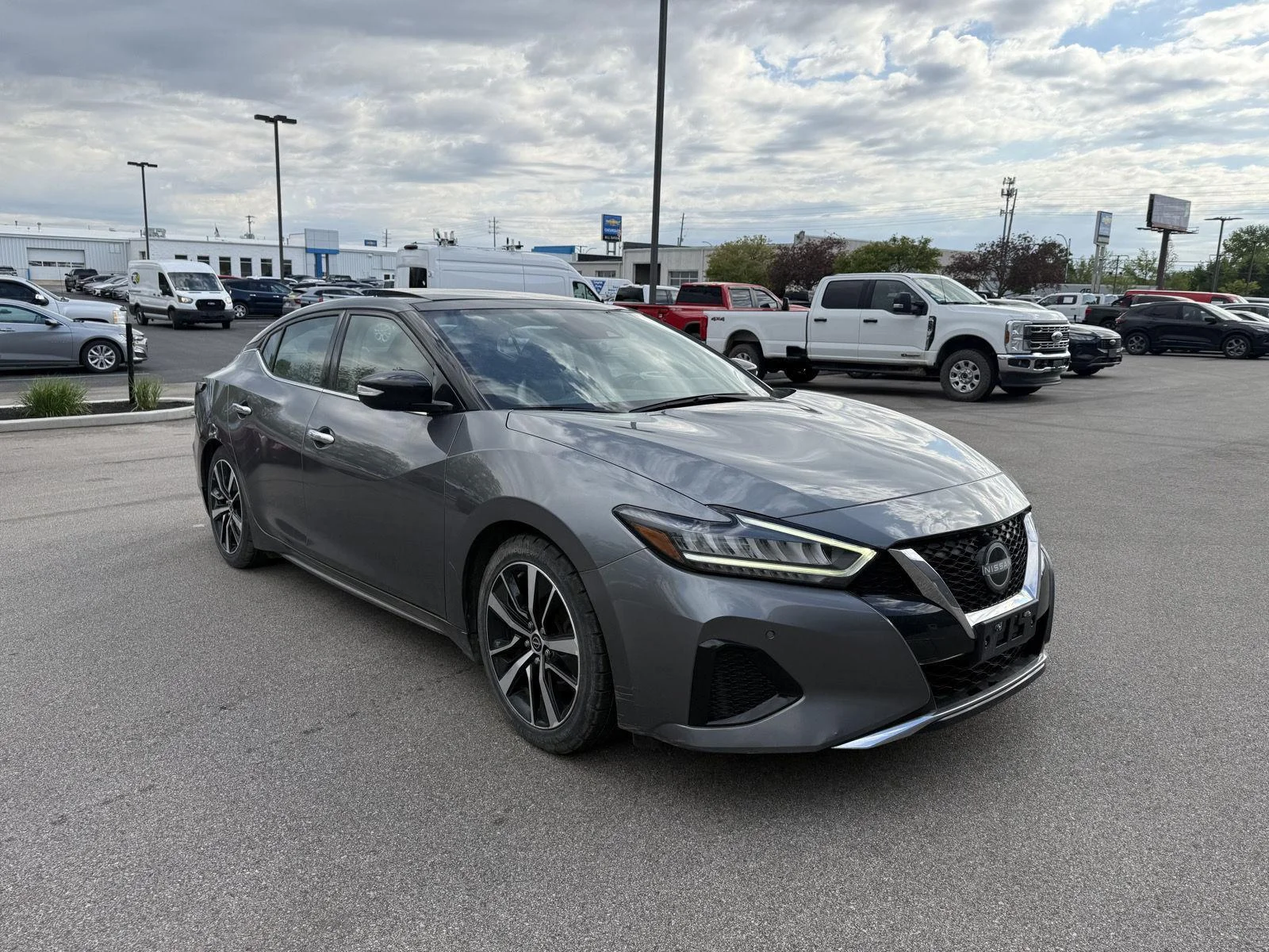 2023 Nissan Maxima SL's photo
