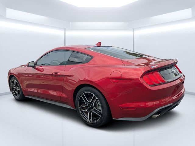 Used 2022 Red Ford EcoBoost image 5
