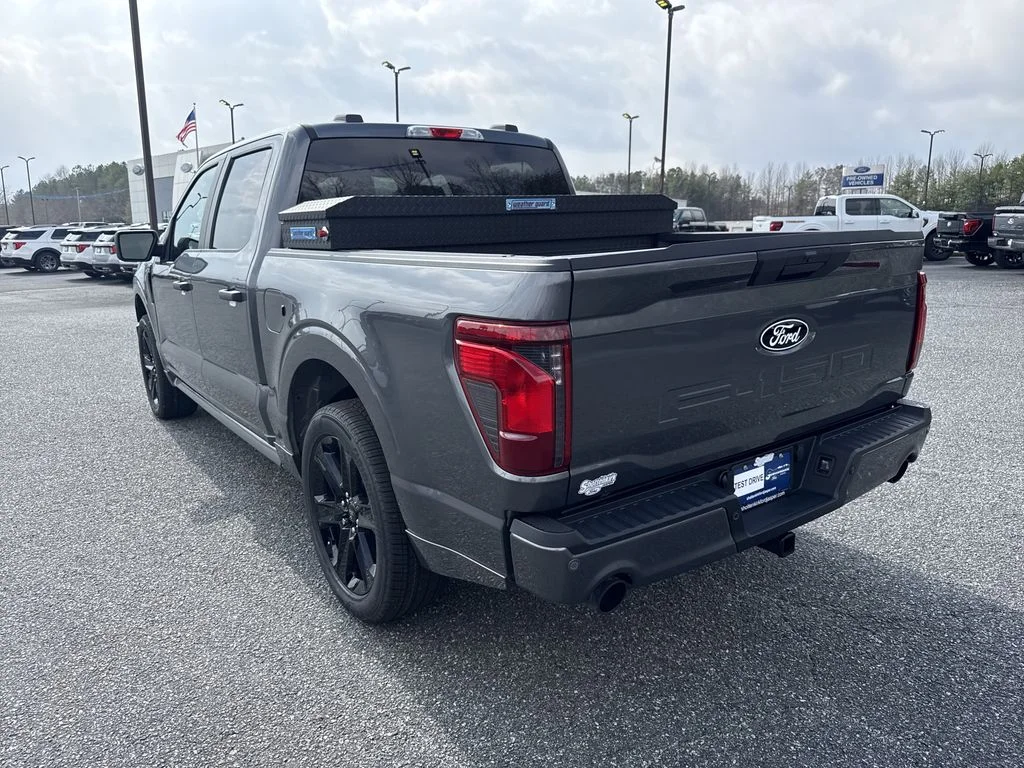 New 2026 Gray Ford STX image 5