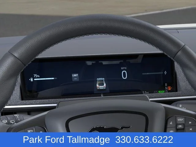 2025 Ford Mustang Mach-E GT - Photo 13