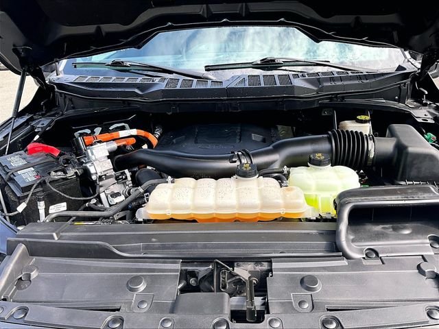 Used 2023 White Ford XLT image 10