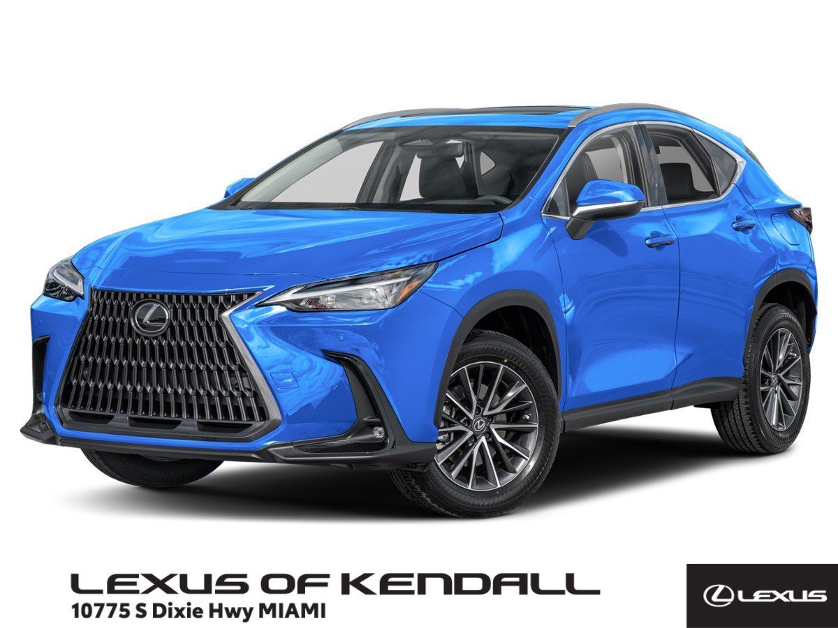 Used 2024 Gray Lexus NX 250 Premium image 1