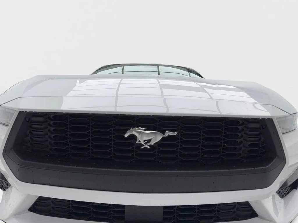 Used 2026 White Ford EcoBoost Premium image 4