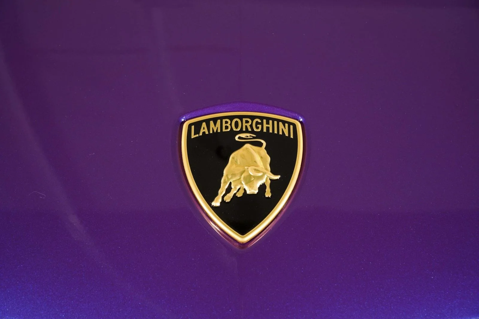 Used 2025  Lamborghini  image 16