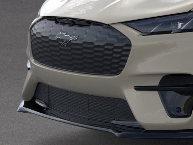 New 2026 Desert Sand Ford Premium image 39