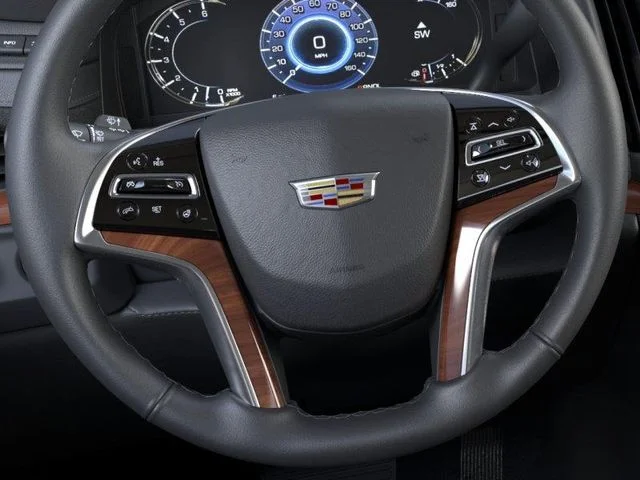 New 2020 Black Cadillac Luxury image 13